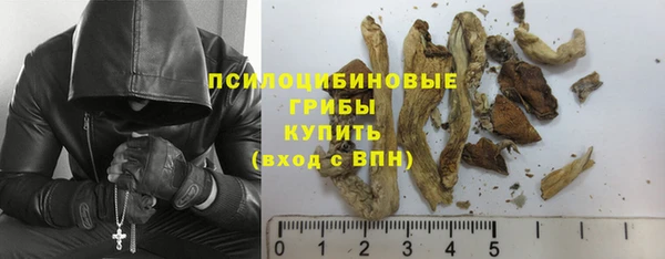 марки nbome Богданович