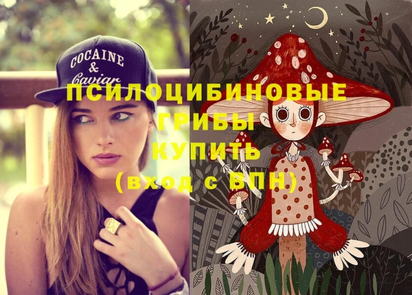 амфетамин Богородицк