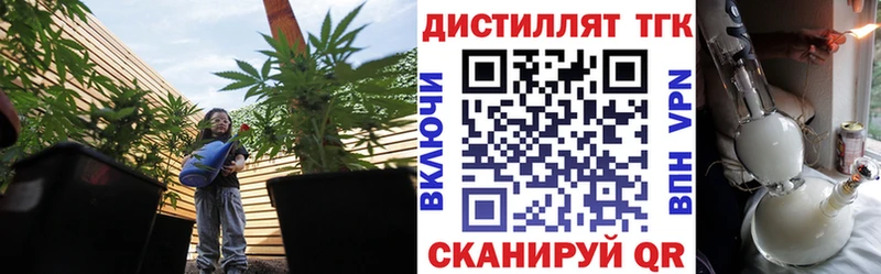 купить   Кирово-Чепецк  ТГК жижа 